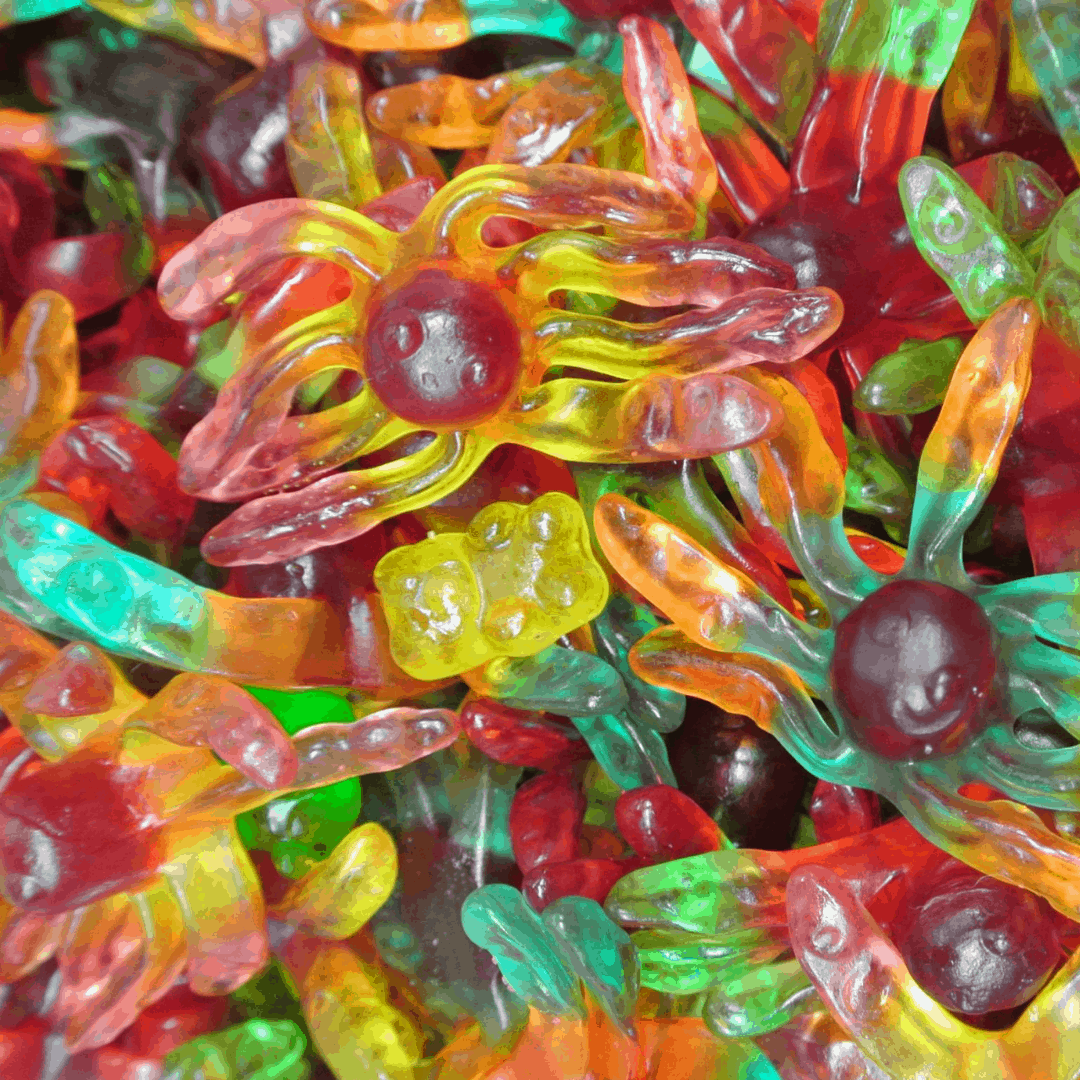 Trolli Individual Trolli Octopus 2kg LNCXTZACLPDA Trolli Octopus 2kg